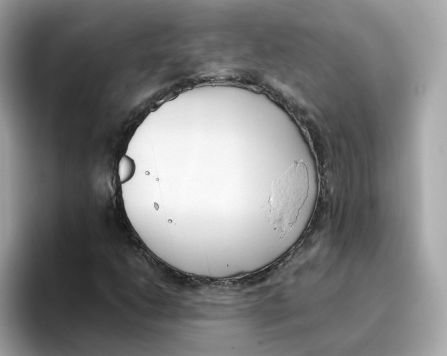 X0000096461206200802141525