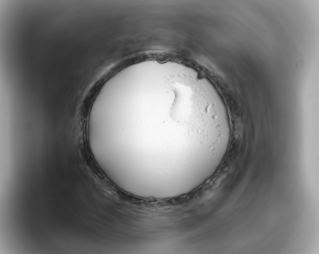 X0000096461208200802141525