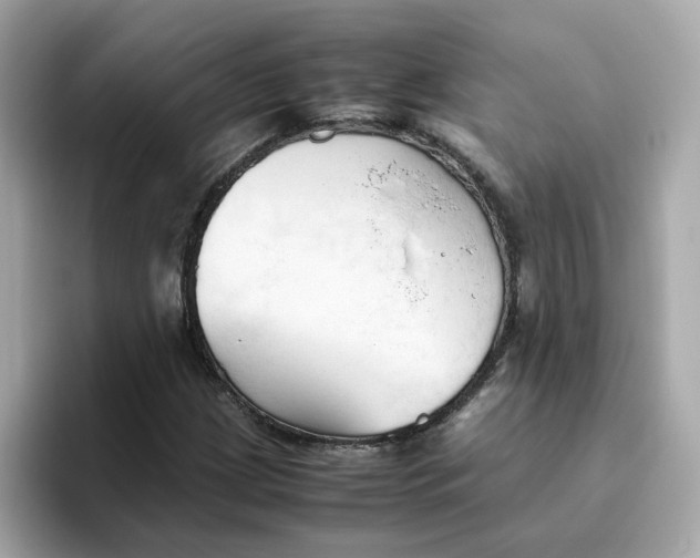 X0000096461209200802141525