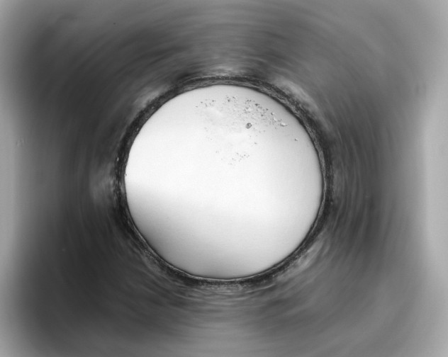 X0000096461210200802141525