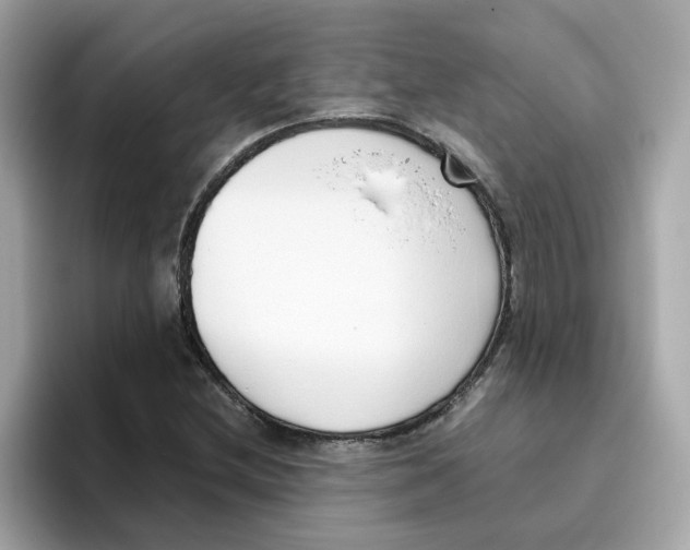 X0000096461212200802141525