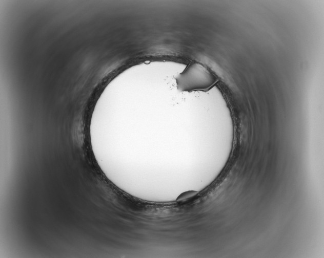 X0000096461213200802141525