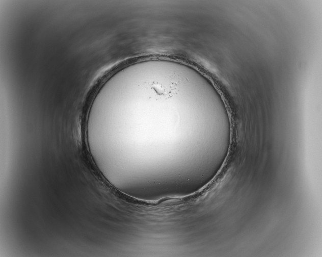 X0000096461214200802141525