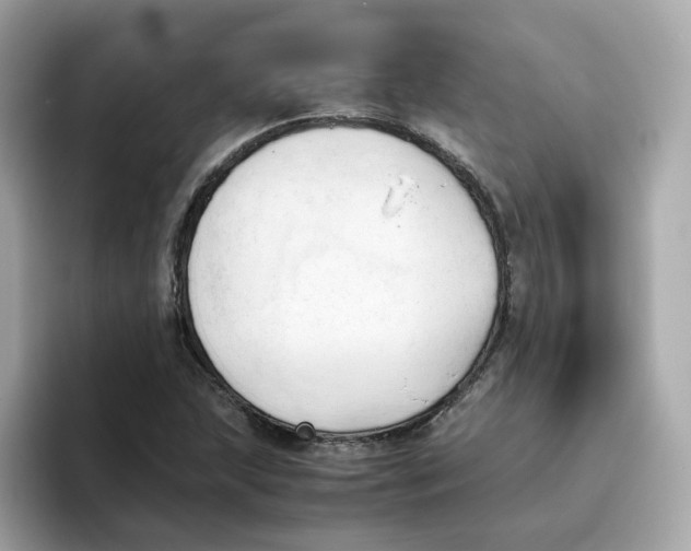 X0000096461215200802141525