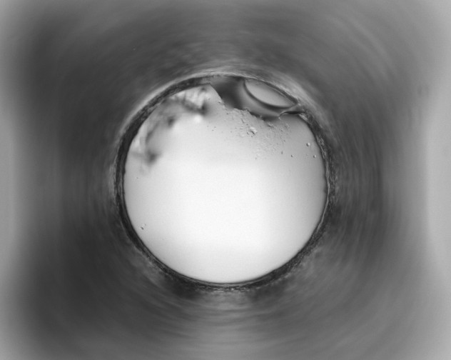 X0000096461216200802141525