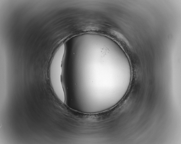 X0000096461217200802141525