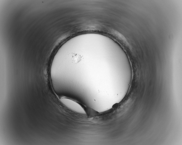 X0000096461218200802141525