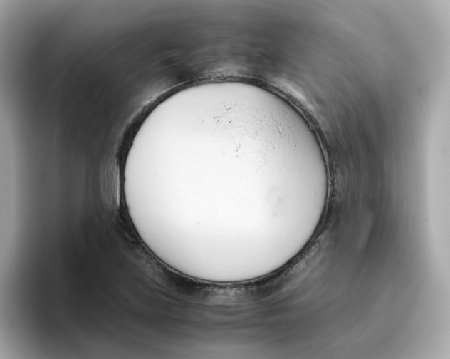 X0000096461219200802141525
