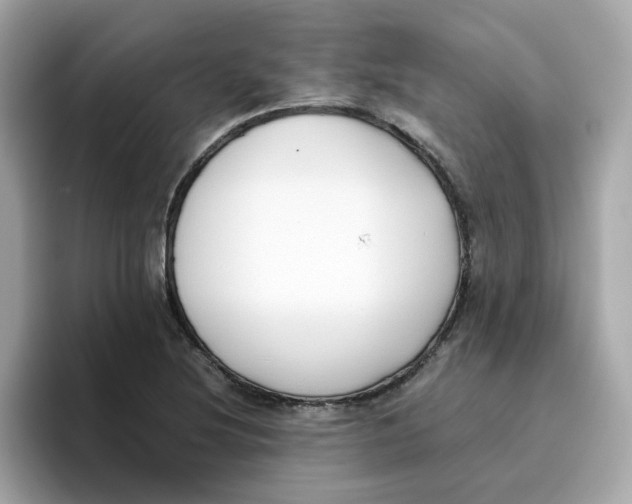 X0000096461220200802141525