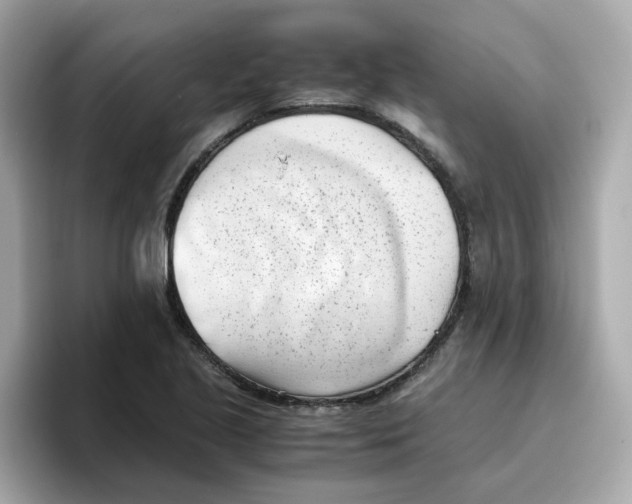 X0000096461221200802141525