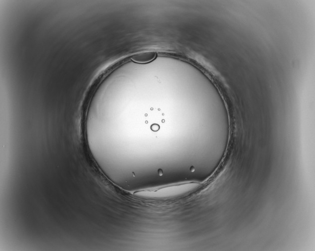 X0000096461222200802141525