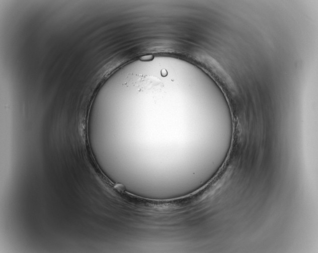 X0000096461225200802141525