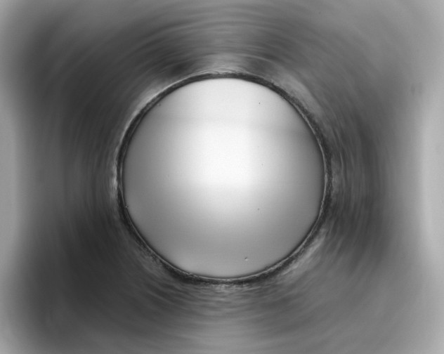 X0000096461226200802141525