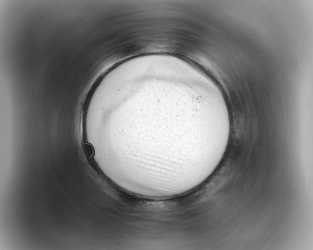 X0000096461227200802141525