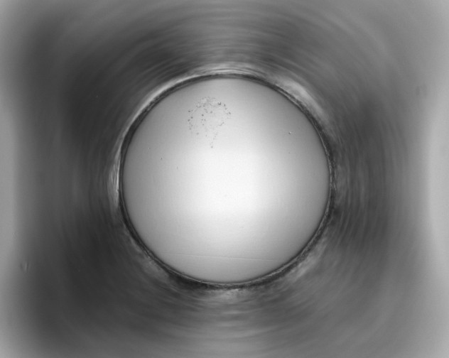 X0000096461228200802141525