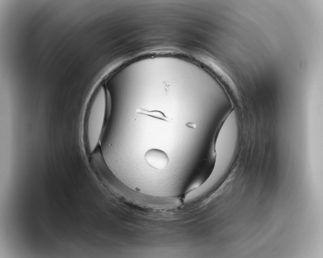 X0000096461229200802141525