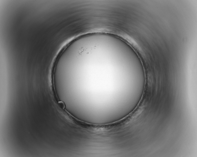 X0000096461230200802141525