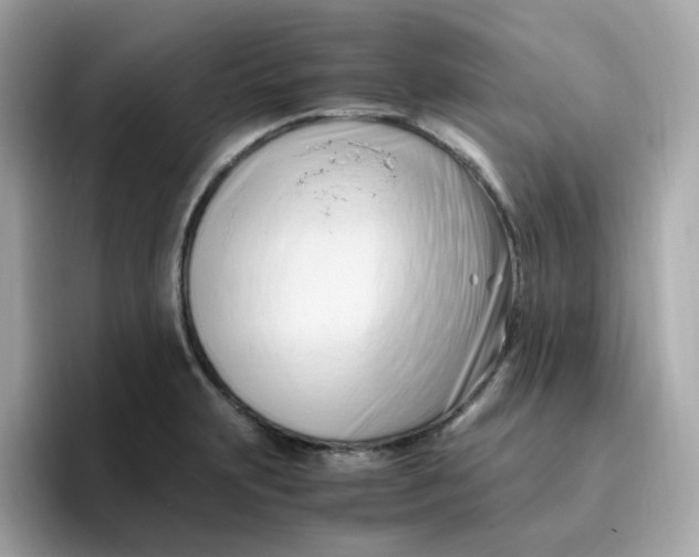 X0000096461231200802141526