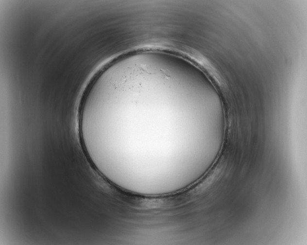 X0000096461232200802141526