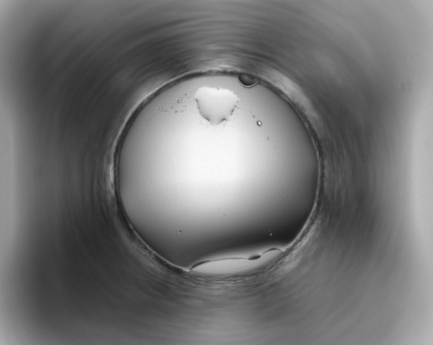 X0000096461234200802141526