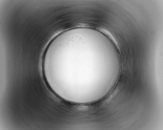 X0000096461235200802141526