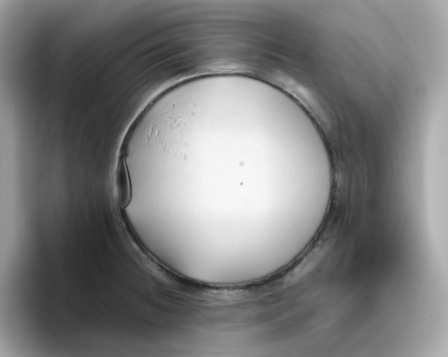 X0000096461236200802141526