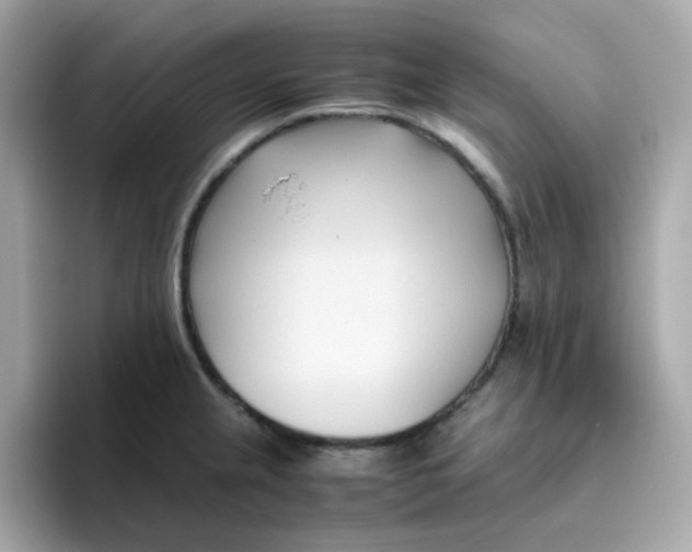 X0000096461237200802141526