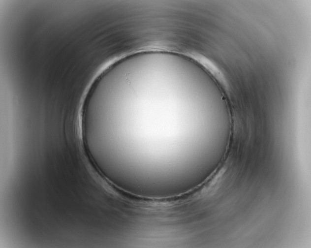 X0000096461238200802141526