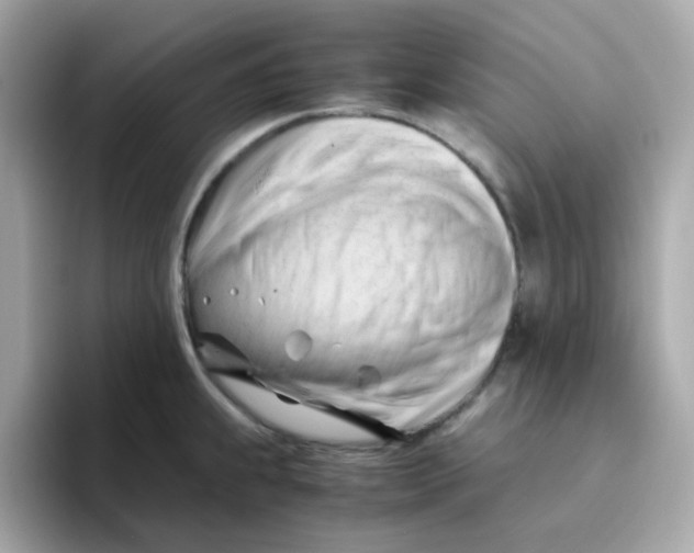 X0000096461239200802141526