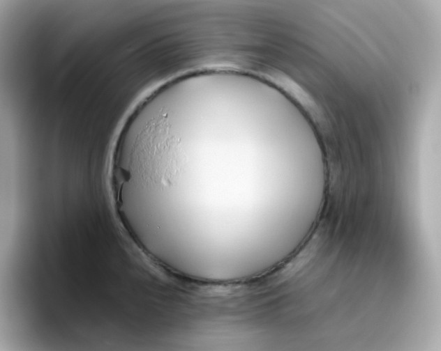 X0000096461240200802141526