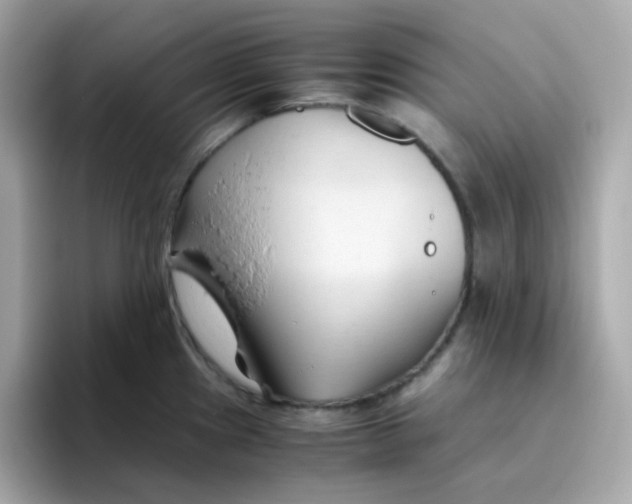 X0000096461241200802141526