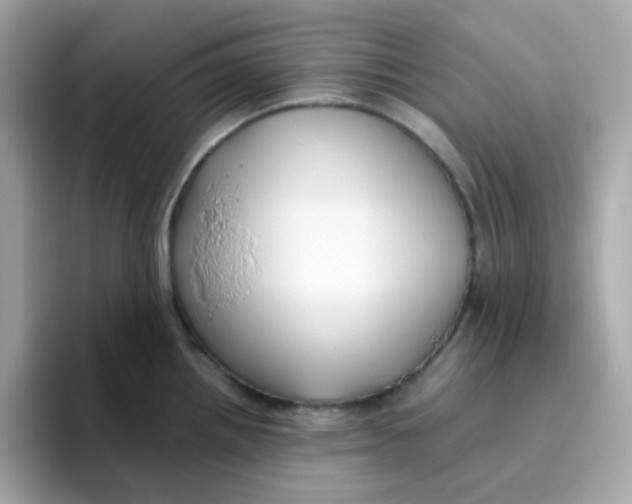 X0000096461242200802141526