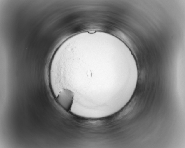 X0000096461243200802141526