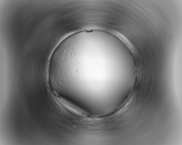 X0000096461244200802141526