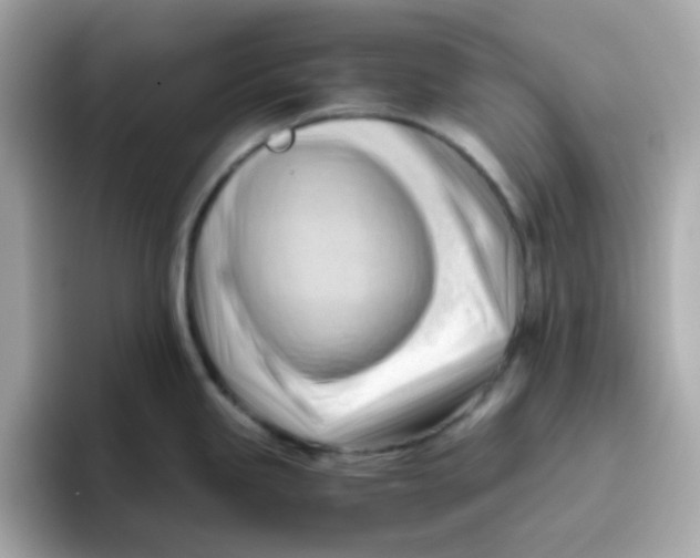 X0000096461245200802141526