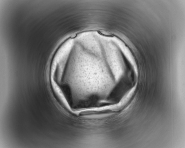 X0000096461246200802141526