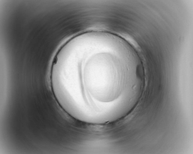 X0000096461248200802141526