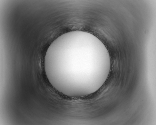 X0000096461250200802141525