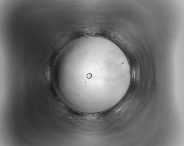X0000096461251200802141525