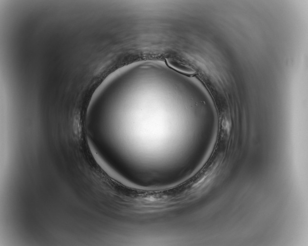 X0000096461252200802141525