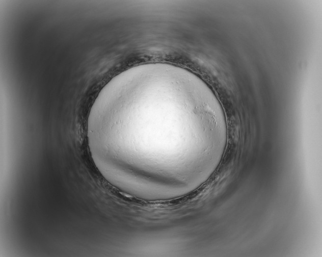 X0000096461253200802141525