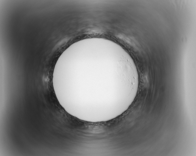 X0000096461254200802141525