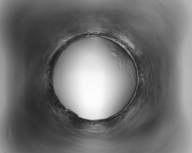 X0000096461256200802141525