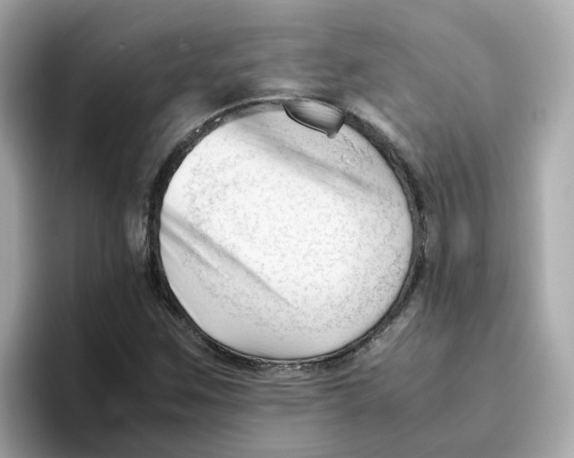 X0000096461259200802141525
