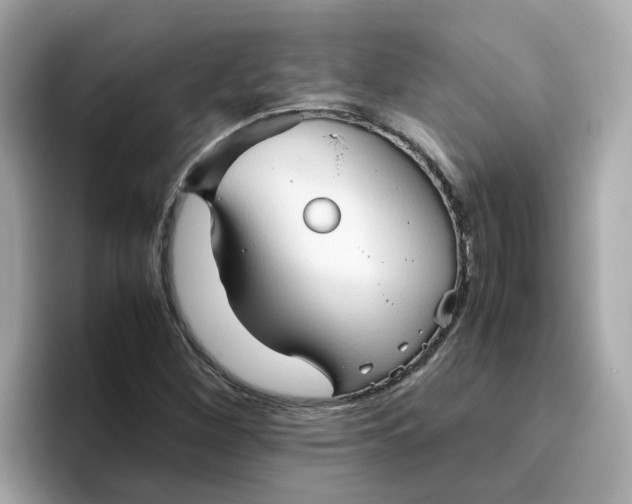 X0000096461260200802141525