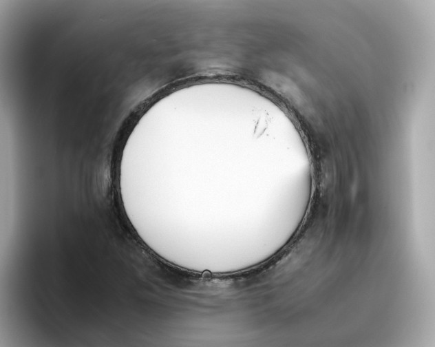 X0000096461261200802141525