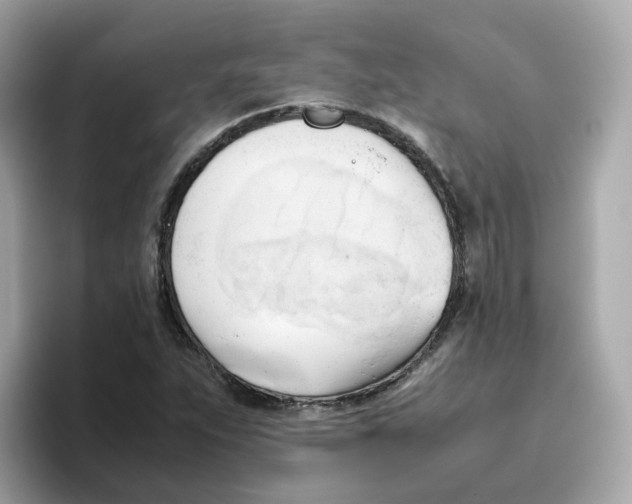 X0000096461263200802141525