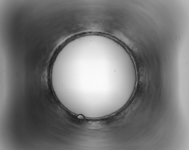 X0000096461264200802141525
