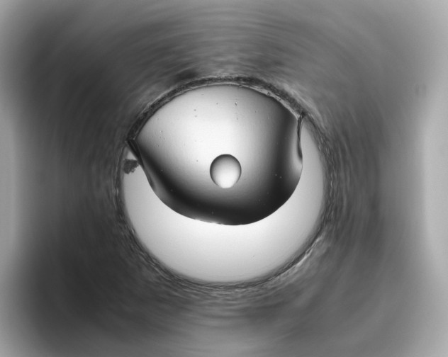 X0000096461265200802141525