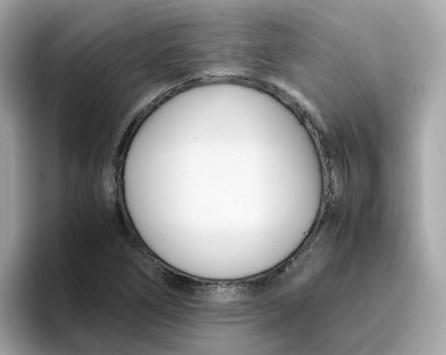X0000096461266200802141525